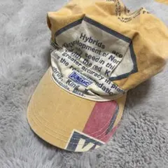 Item thumbnail for item 5f196228-0e7e-459c-9463-195a81c3dd1a