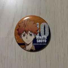 ハイキュー!! トレーディング缶バッジ 共闘 日向翔陽