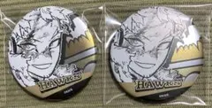 ヒロアカ　デコレクション缶バッジ　ホークス　2点