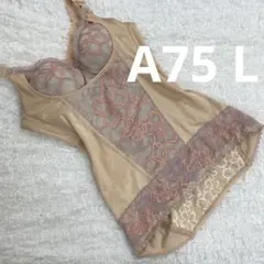 マルコ　サクラ　ボディーシェーパー　c85 マルコ アバンセ サクラ C85 3L ボディーシェイパー 大きいサイズ