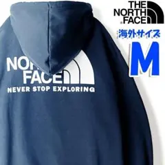 ノースフェイス パーカー メンズ バックプリント ネイビー 海外Mサイズ tb