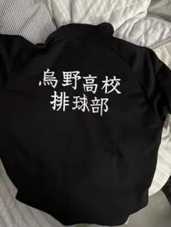 ハイキュー烏野高校ジャージ上下