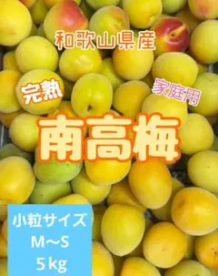 0801紅サシの多い完熟小梅 SS〜Mサイズ 5kgキルトパッチ梅店 - メルカリ