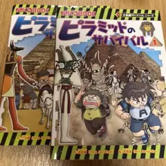 2025年最新】ピラミッドのサバイバルの人気アイテム - メルカリ