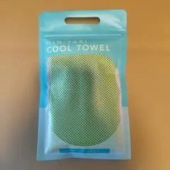 Item thumbnail for item 62fb4bea-fefe-444c-92f3-f2152b9d3185