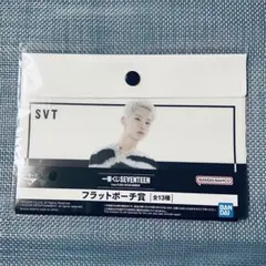 SEVENTEEN 1番くじ フラットポーチ ホシ