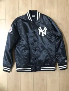 Item thumbnail for item a56c3630-d25c-4f5b-a136-39f54197bdb8