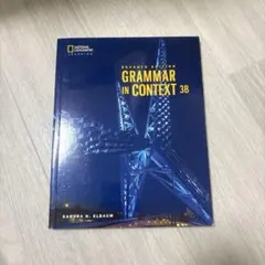 GRAMMAR IN CONTEXT 3B