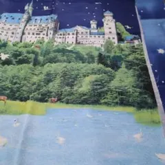 Item thumbnail for item 887618dc-0a7b-4dff-a8e5-f971bd1c4d27