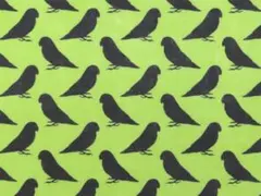【ゆきちゃん限定】X2707-1 コザクラインコ柄 シルエット 緑 生地 1m