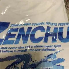 Item thumbnail for item 8c9c6c45-7e6c-4b33-b898-d4b5ccb7b1ab