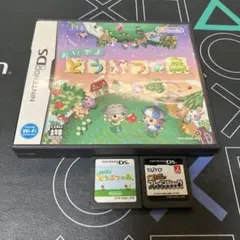 ⑬金G⭐️Nintendo DSソフト⭐️2本。