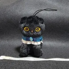 モフサンド 黒仔猫にゃん