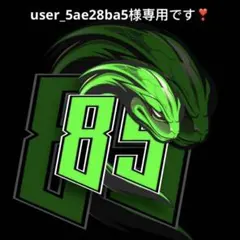 user_5ae28ba5様専用です❣️0202