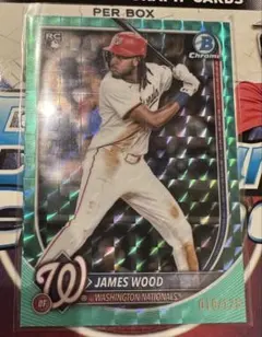 Item thumbnail for item 1e534118-d3bb-4c36-8ebb-ece9d7cb9d2d