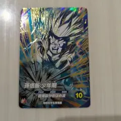 ドラゴンボール ダイバーズ sdv5-008 孫悟飯:少年期 GDR