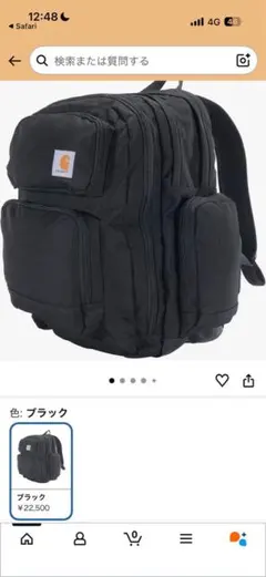 Carhartt リュック バックパック ブラック