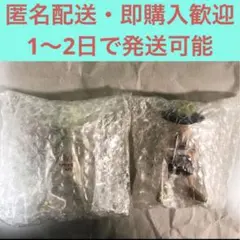 ルフィズ LUFFY's Vol.2 luffys 冒険の記憶　①