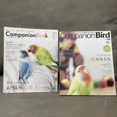 Companion Bird No. 19 & No. 16