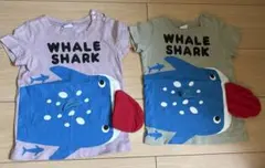 双子 年子 サメ半袖Tシャツ カーキ80パープル90のサムネイル
