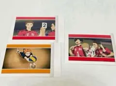 ハイキュー!! ぱしゃこれ 黒尾 夜久 海 ゴミ捨て場の決戦