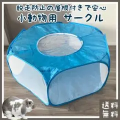 Item thumbnail for item cef5cbbc-e2d5-4c96-985f-cdca6c3b2fa4