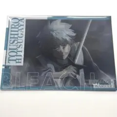 BLEACH ジャンボカードダス クリアビジュアルポスター 日番谷冬獅郎