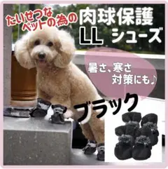 Item thumbnail for item 3d93eece-faa6-4b91-8221-f04ce162d430