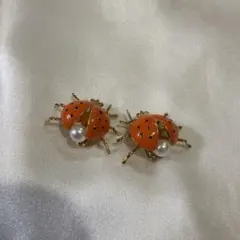 k*i様 てんとう虫デザイン ブローチ