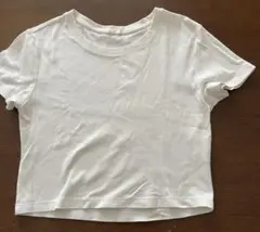 GU ジーユー コットンTシャツ 半袖 Ｌサイズ ホワイト 丈短め 無地