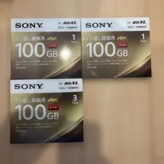 ソニー 日本製 ブルーレイディスク BD-RE XL 100GB 10枚入り - メルカリ