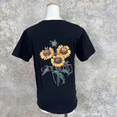 Item thumbnail for item b69d94bc-7ad1-4b6e-96fd-1d75933fe640