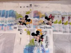 東京ディズニーリゾート ショップ袋 17枚セット