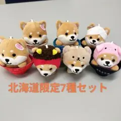 【旅するマメしば】沖縄限定9個セット マメしばシーサー ぬいぐるみ 旅するまめしば 沖縄 マメしば : okinawa
