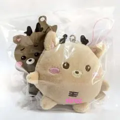 RIIZE ソンチャン ウラッバム グッズ 2025年最新】ウラッバムの人気アイテム - メルカリ