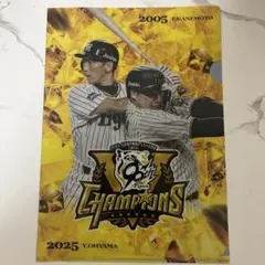 虎の屋台骨 2005年チャンピオン記念クリアファイル