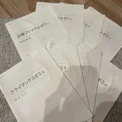 必修ファイナルゼミとクライマックスゼミ 2026年最新】必修ファイナルゼミの人気アイテム - メルカリ