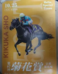 JRA 競馬ポスター 第87回菊花賞 エネルジコ