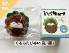 【匿名配送】ハイキュー!! くるみたぴぬいvol.2及川徹