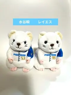 北海道日本ハムファイターズ うしぬいぐるみくじ 5点セット 北海道日本ハムファイターズ うしぬいぐるみくじ 5点セット - メルカリ