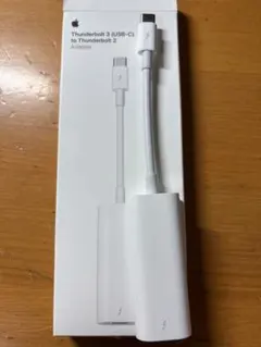 Apple 純正 USB-C-Thunderbolt 2変換アダプタA1790