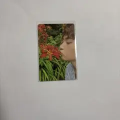 ゼベワン　ZB1 トレカ