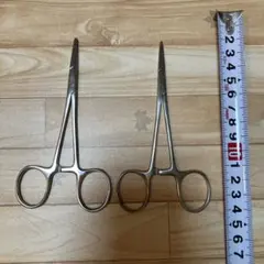 Item thumbnail for item 46f2023d-f656-4467-ae95-0a5e15304310