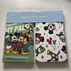 東京ディズニーリゾート スタイ2枚セット