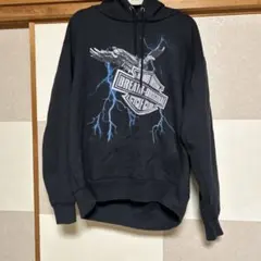 Item thumbnail for item 6fe3edec-48de-47f6-8e39-574ab418431b