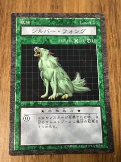 2026年最新】シルバー・フォングの人気アイテム - メルカリ