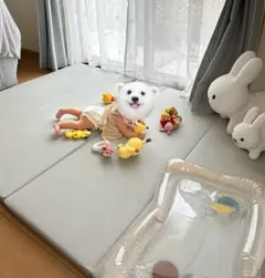 プレイマット セーフティグッズ