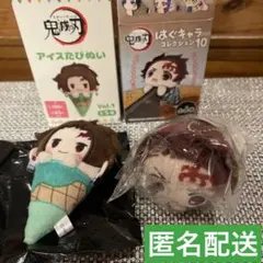 鬼滅の刃　アイスたぴぬい はぐキャラコレクション10 竈門炭治郎