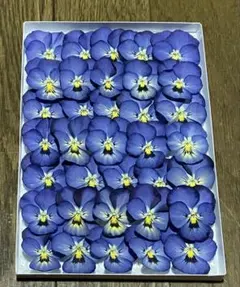 moeeri様 リクエスト 2点 まとめ商品