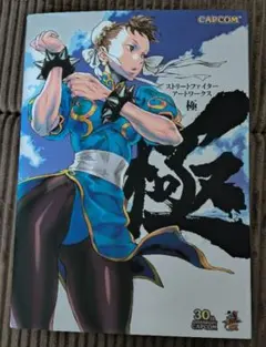 2026年最新】ストリートファイターアートワークス極の人気アイテム